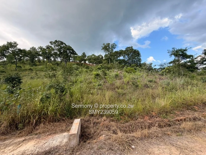 Prime Carrick Creagh Estate Stands For sale