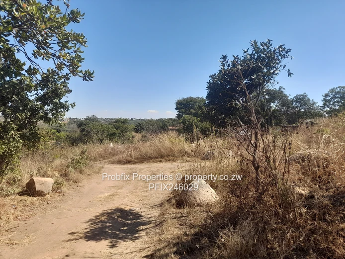 Crow Hill Residential Stand for Sale