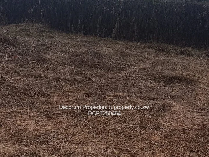Prime 968m² Residential Stand for Sale in Quinnington, Borrowdale