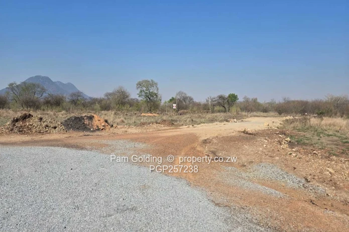 Low density residential stands next to a game park (Sole Mandate)