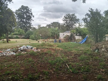 Stands & Residential Land