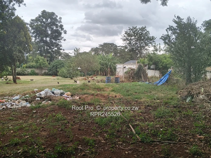 Greendale Stand for Sale 