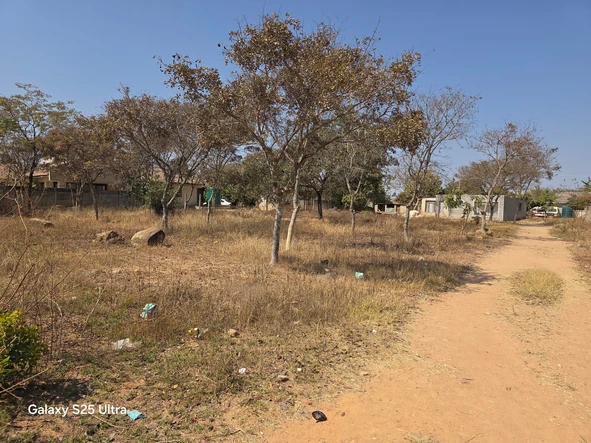 Stands & Residential Land