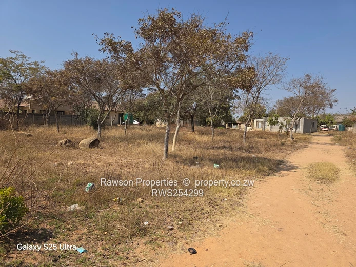 Riverside Ruwa Stand For Sale!