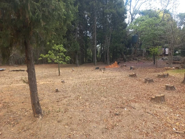 Stands & Residential Land