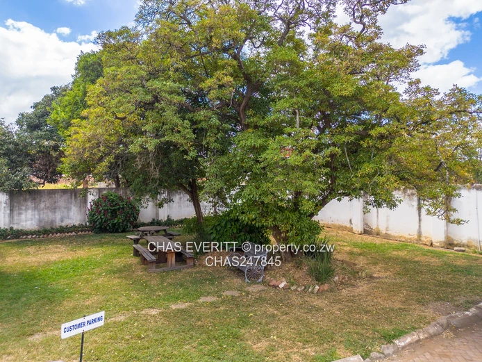 Commercial Space In Avondale 