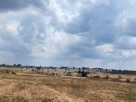 Nyabira Stand For Sale