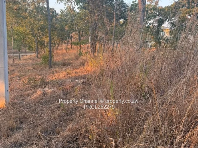 2000m² Carrick Creagh Stand — Tree-dotted, Gentle Slope