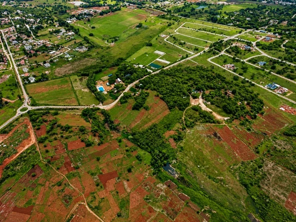 Stands & Residential Land