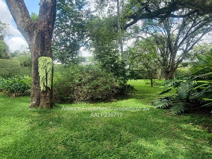 Exquisite 3-Bedroom Executive Home