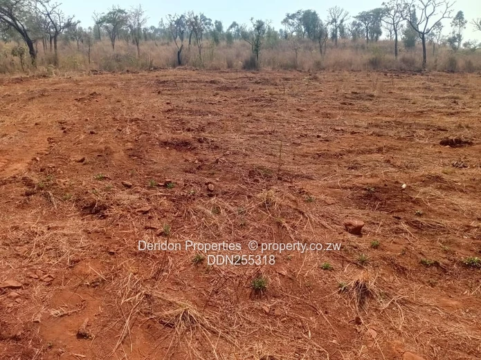 Shawasha Hills Cluster stands from 2000 sqm to one hectare