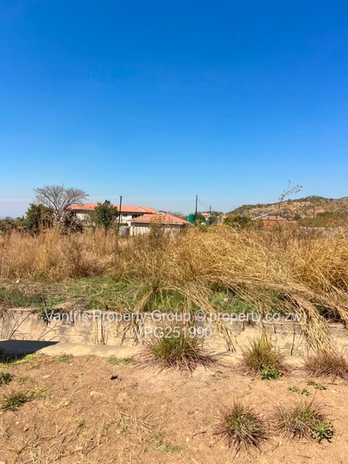 Palm village stands for sale !!!!