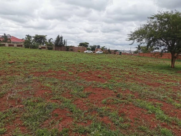 Stands & Residential Land