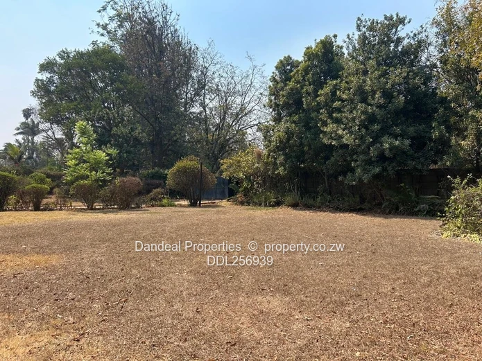 Gunhill Office — 600m² on 4,200m² with Borehole & Gardens