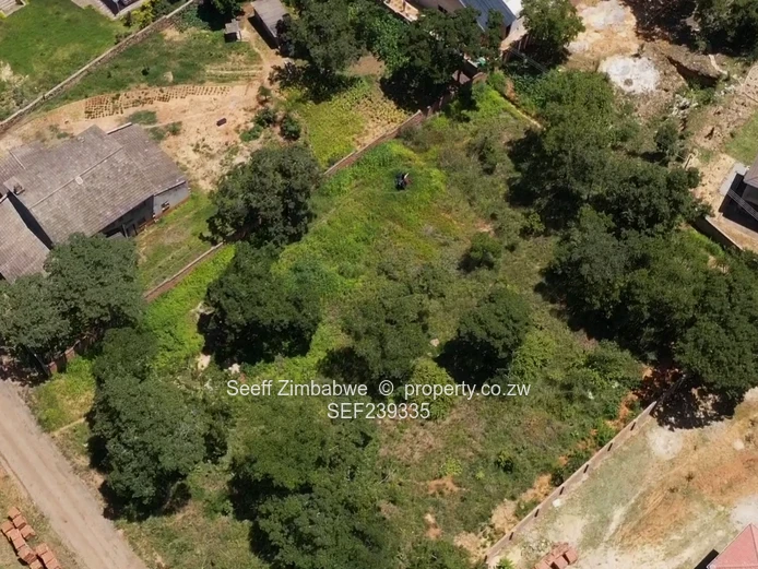 Borrowdale Carrick Creagh stands for sale