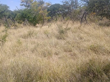 Farm & Agricultural Land