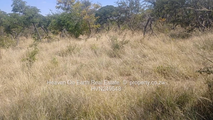 Farm for sale
