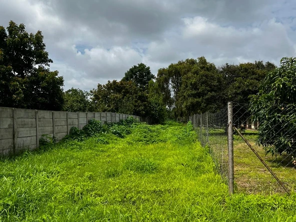 Stands & Residential Land