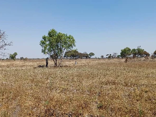 Farm & Agricultural Land
