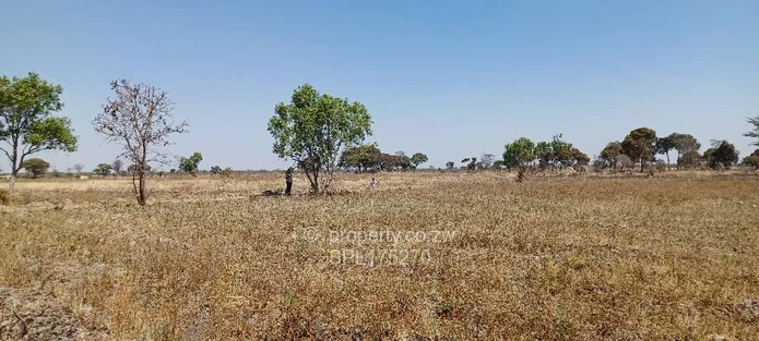 Agricultural Plots  (Sole Mandate)