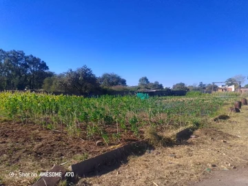 Commercial & Industrial Land