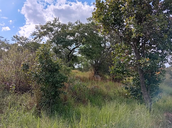 Farm & Agricultural Land