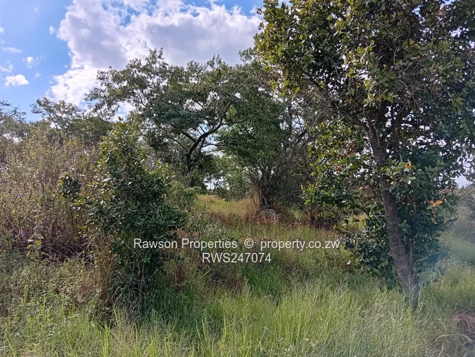 Agroplot for Sale in Ruwa