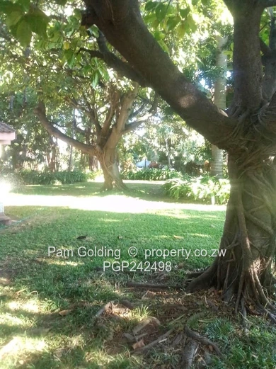 Prime Residential Retreat In Binga