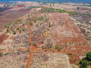 Farm & Agricultural Land