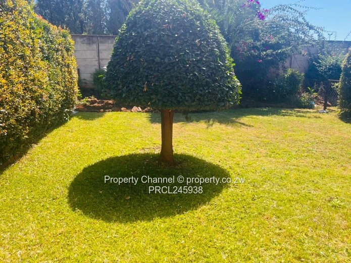 Sunlit 2-Bed Avondale Flat - Bay Window & Wooden Floors