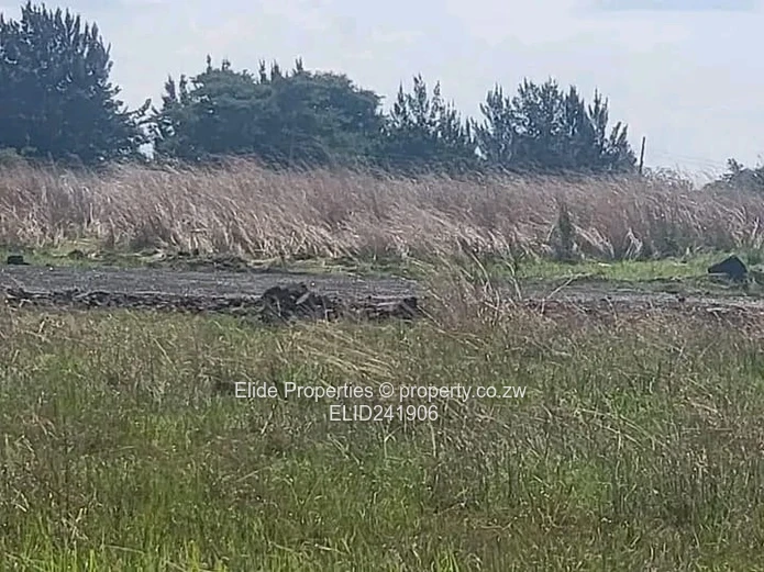 Good hope stand (Sole Mandate)