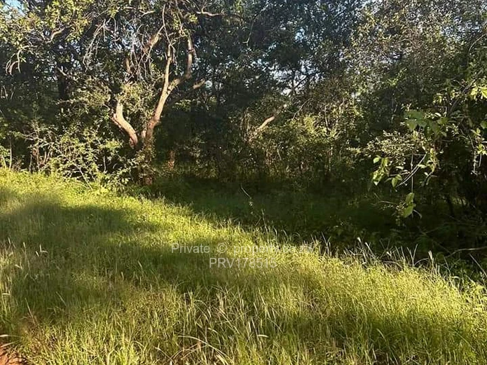 Farms & Agricultural Land for Sale in Gwanda PRV178515