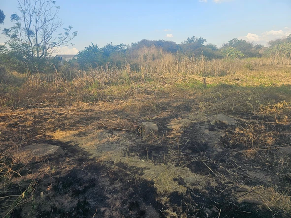 Commercial & Industrial Land