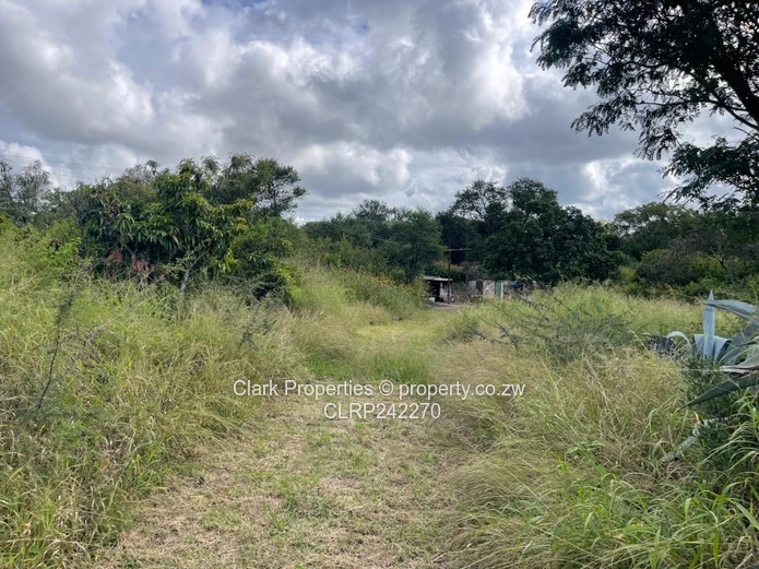 Exceptional Land Opportunity: Three Adjacent Plots (Sole Mandate)