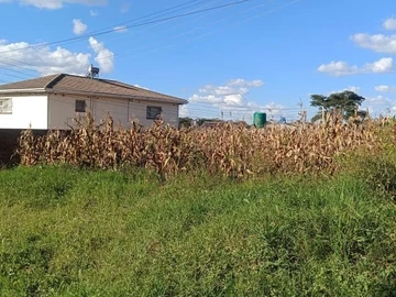 Stands & Residential Land