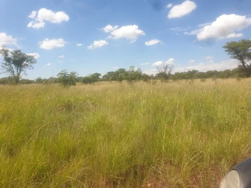 Farm & Agricultural Land