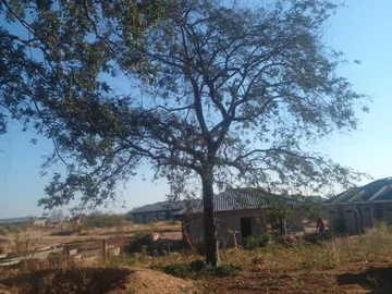 Commercial & Industrial Land