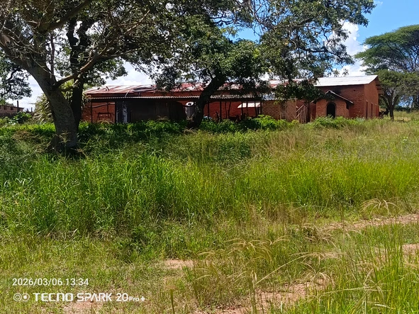 Farm & Agricultural Land
