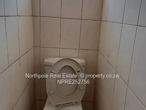 Mkwisi House To Let