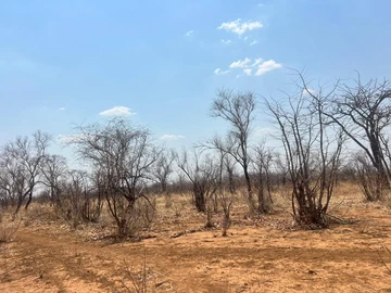 Farm & Agricultural Land