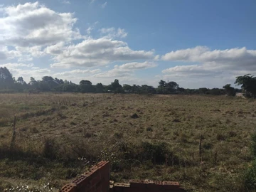 Farm & Agricultural Land