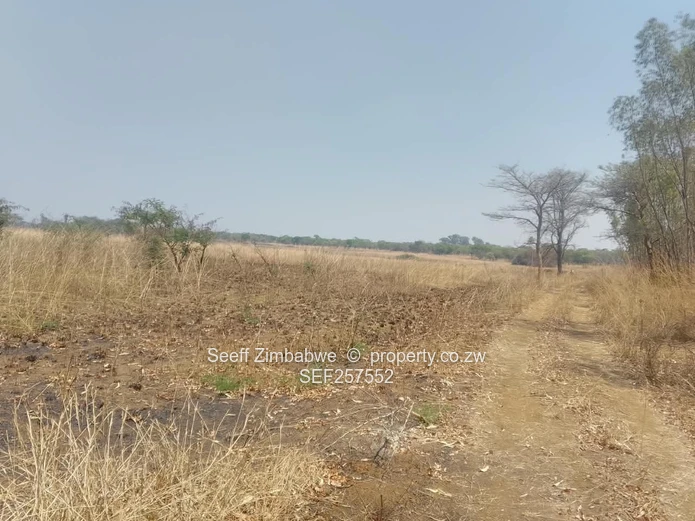109,174ha Whitecliff Farm — Subdivision Potential 