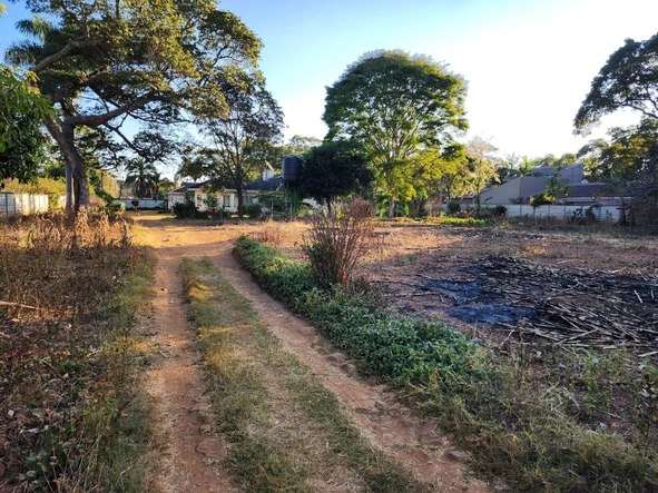Stands & Residential Land