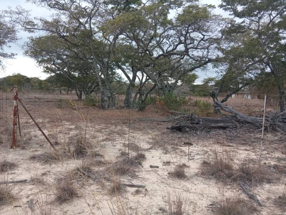 Farm & Agricultural Land