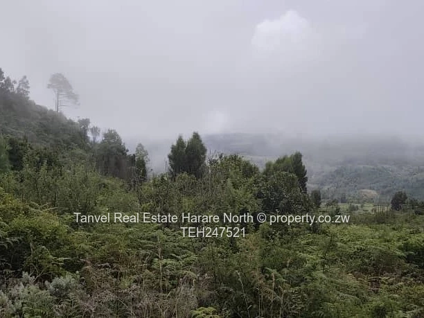 *NYANGA 5 HECTARES PLOT FOR SALE.*  10 mins drive from PACKSHADE INN 