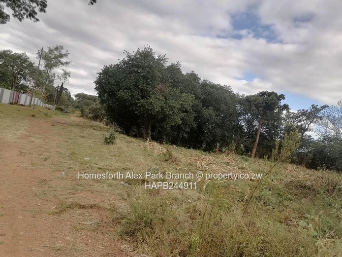 Gweru Stand For Sale