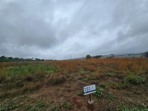 Stands & Residential Land