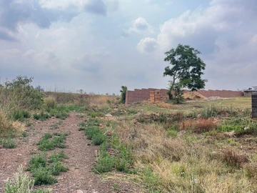 Stands & Residential Land