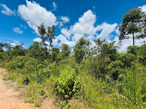 Farm & Agricultural Land