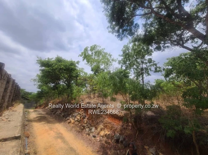 Glen Lorne 1.6ha Prime Land - Main Road Frontage